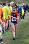 Senior womens Start Fitness North Eastern Harriers League, Wrekenton, Gateshead. Photo:  David T. Hewitson/Sports for All Pics